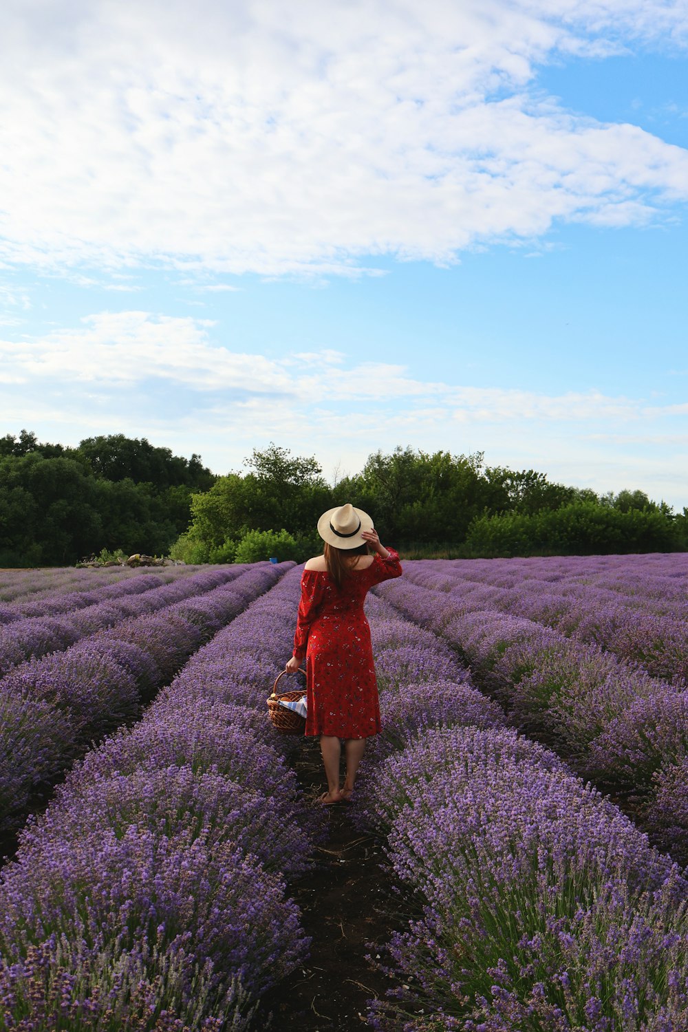 a woman in a hat standing in a field of lavender