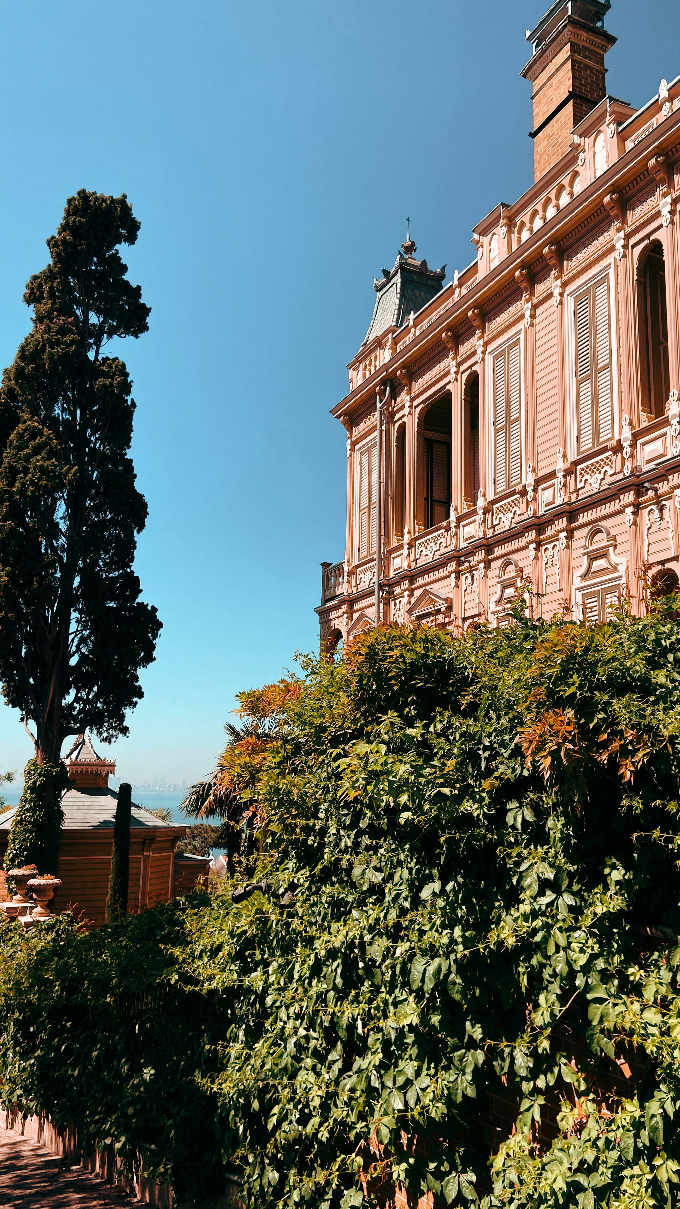 Photo by afsarturgay