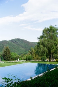 An outdoor swimming pool surrounded by lush greenery and mountains in the background. The pool's clear blue water reflects the sky above, and there is a ladder for entering or exiting the pool. Tall trees and shrubs surround the area, contributing to a serene and natural atmosphere.