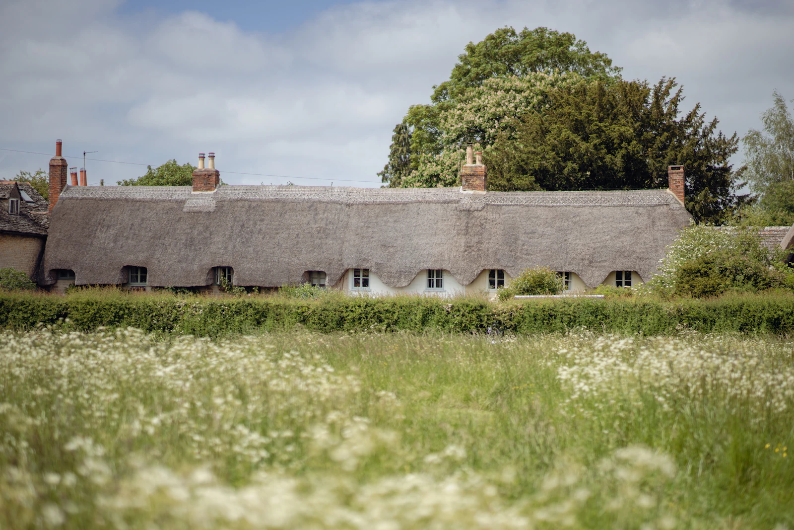 A long thatched farmhouse seen across a meadow of wildflowers