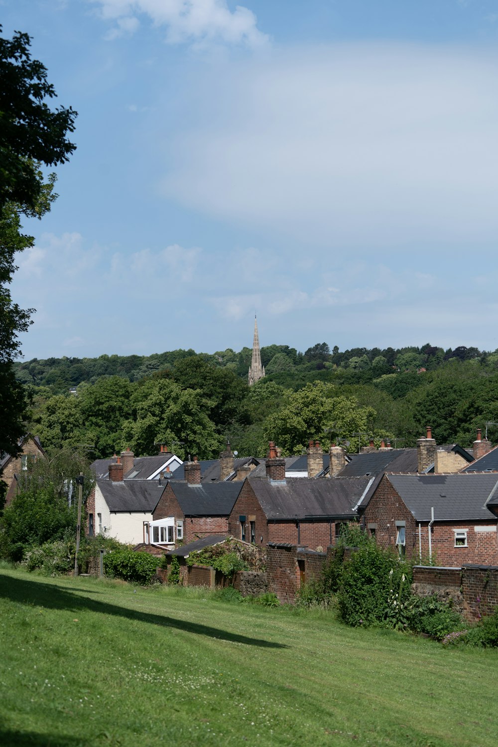 a row of houses on a hill with trees in the background