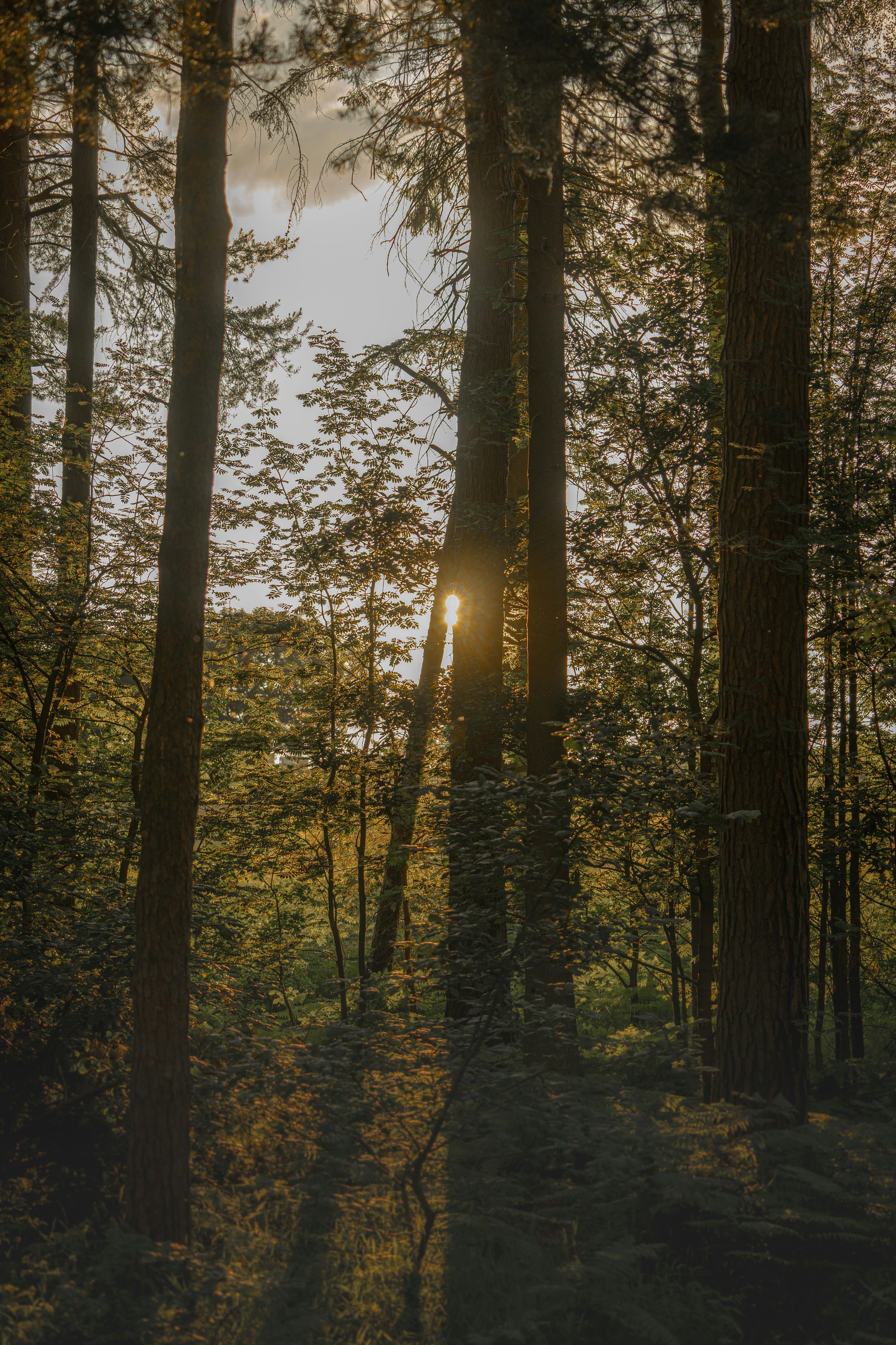 Photo by benjaminelliott