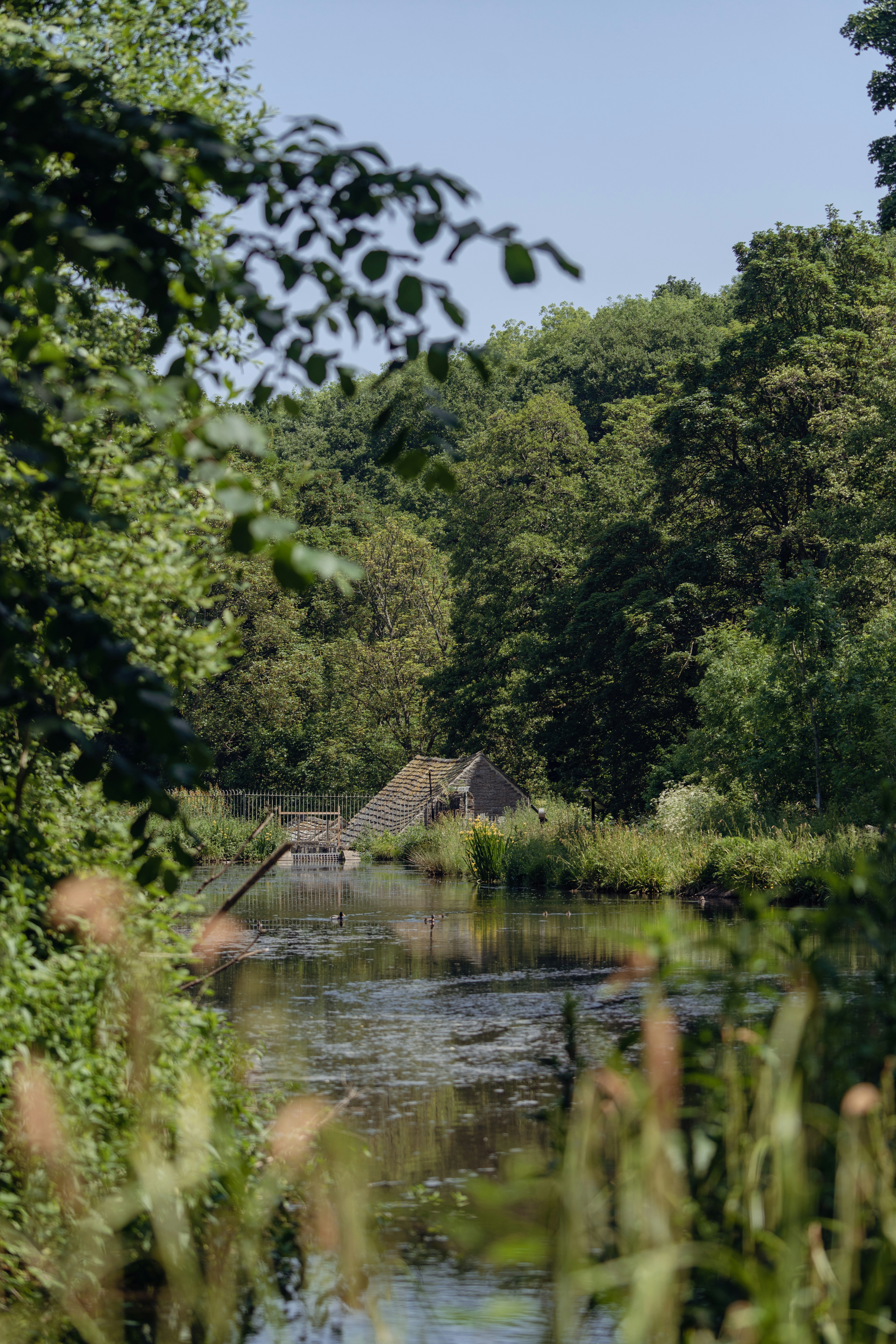 Photo by benjaminelliott