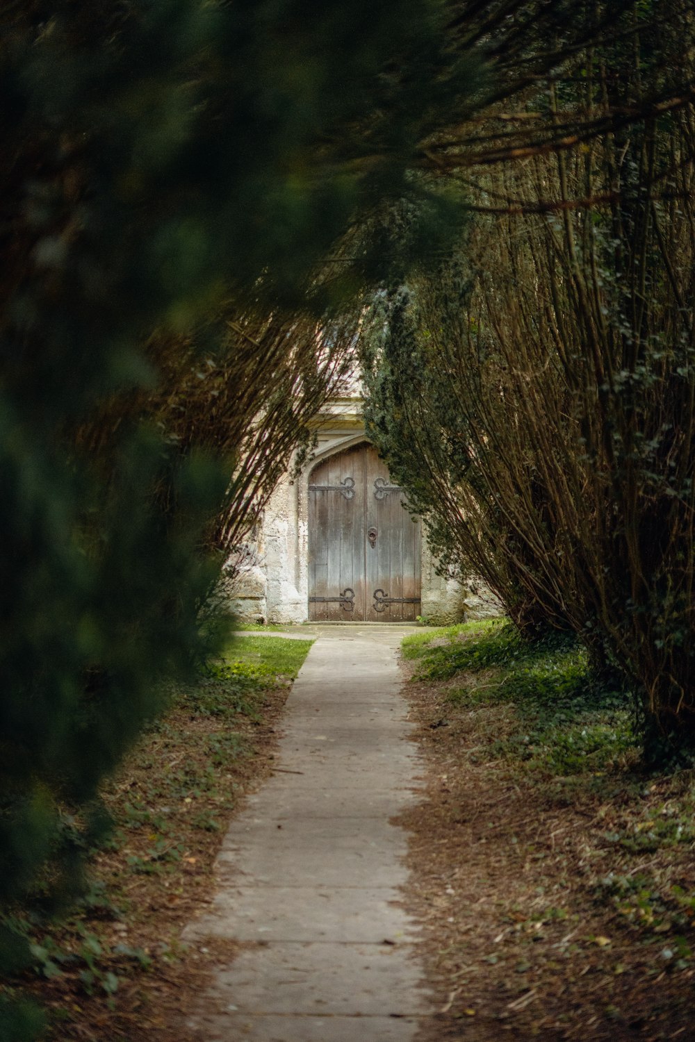 a path leading to a wooden door surrounded by trees