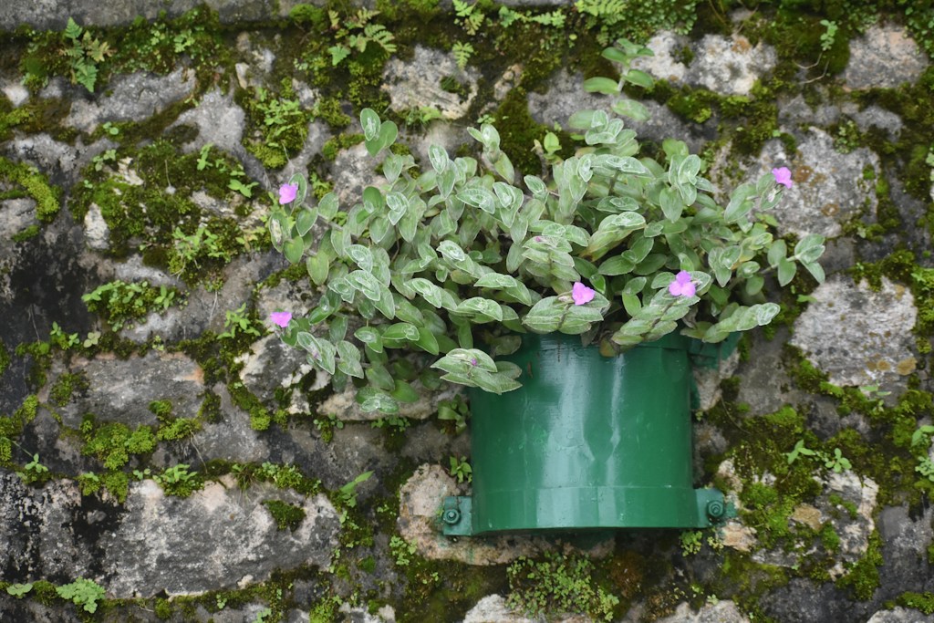 Wall Planter Support