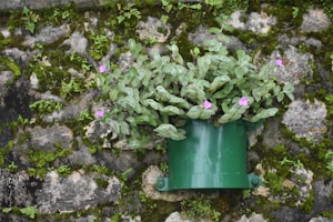 Wall Planter Support