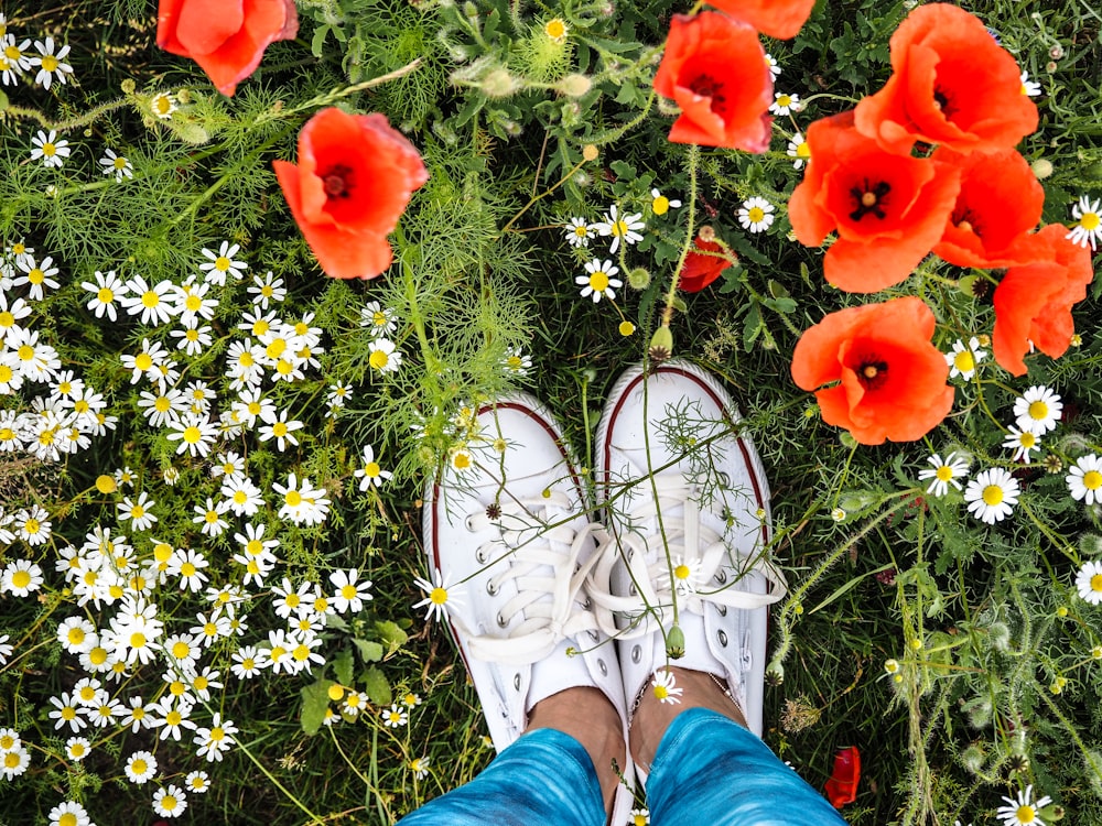 a person standing in a field of flowers