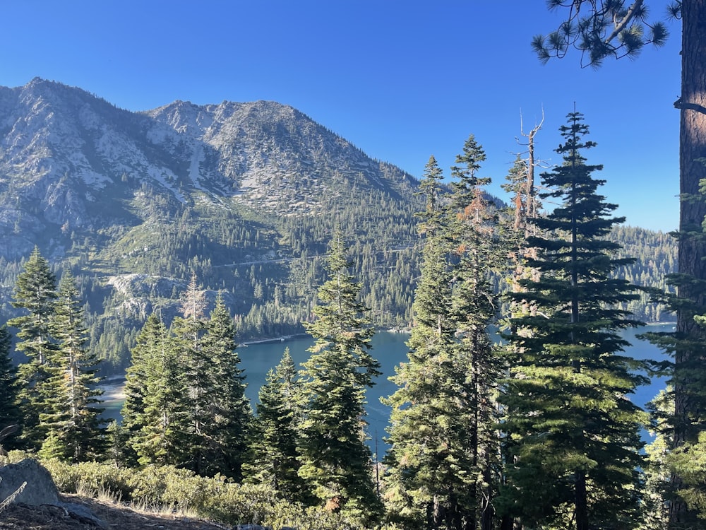 uma vista panorâmica de um lago de montanha rodeado por pinheiros