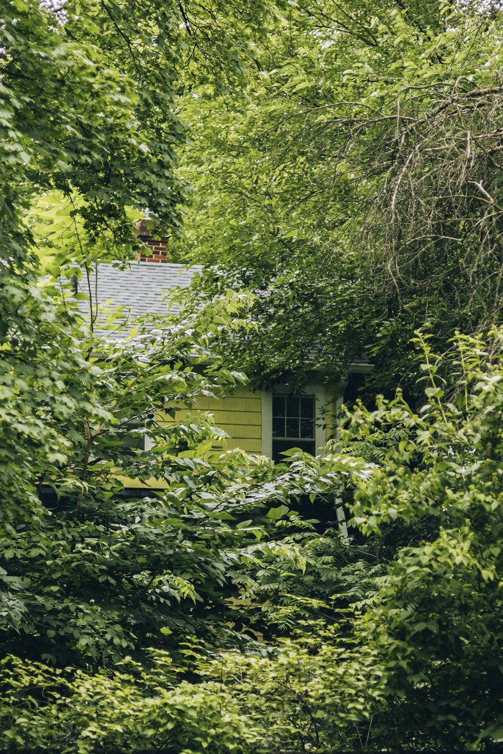 a small house surrounded by trees and bushes