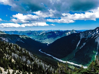 A breathtaking view of a lush green forest in Spain.