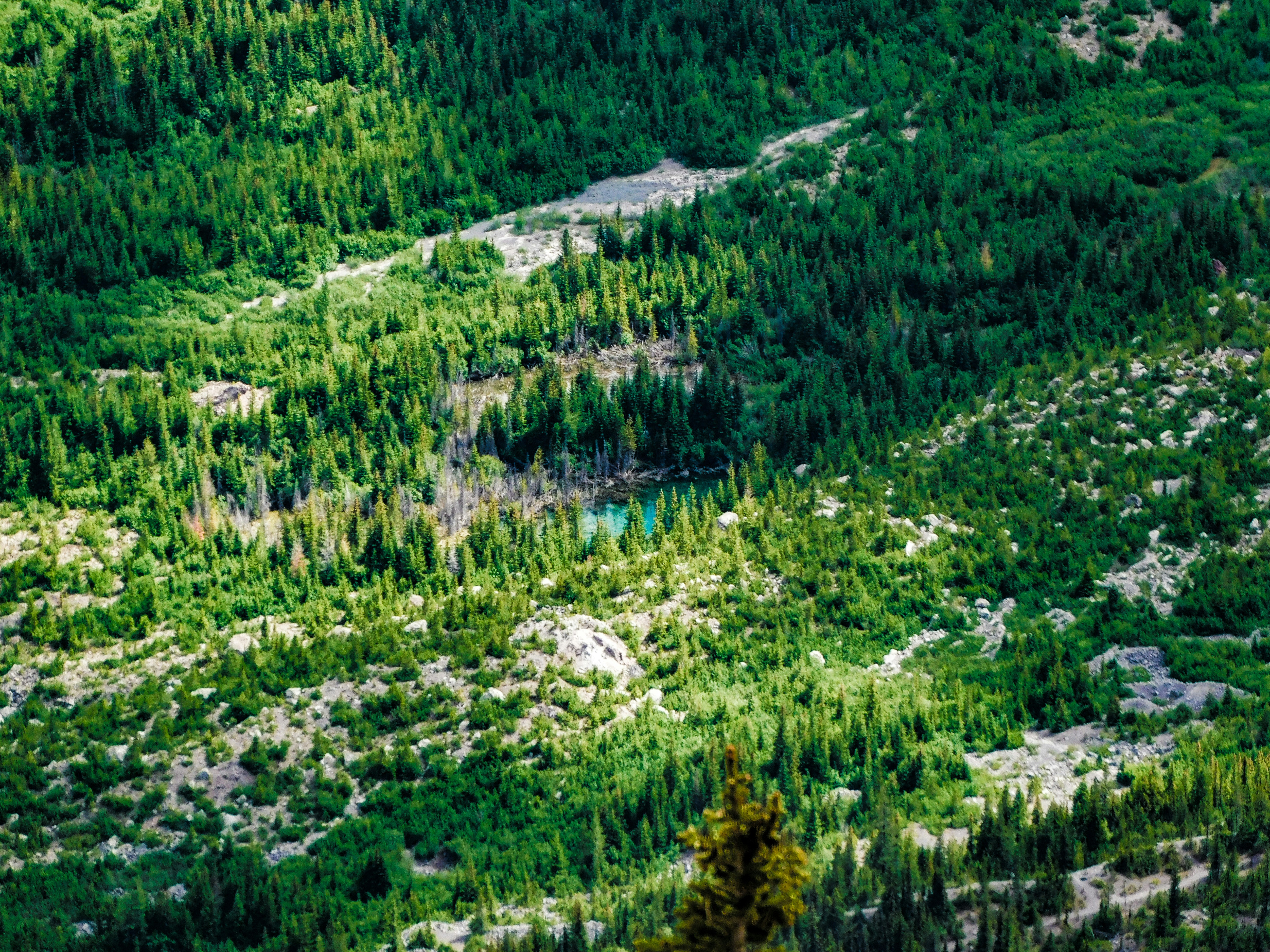 Photo by prphotography262