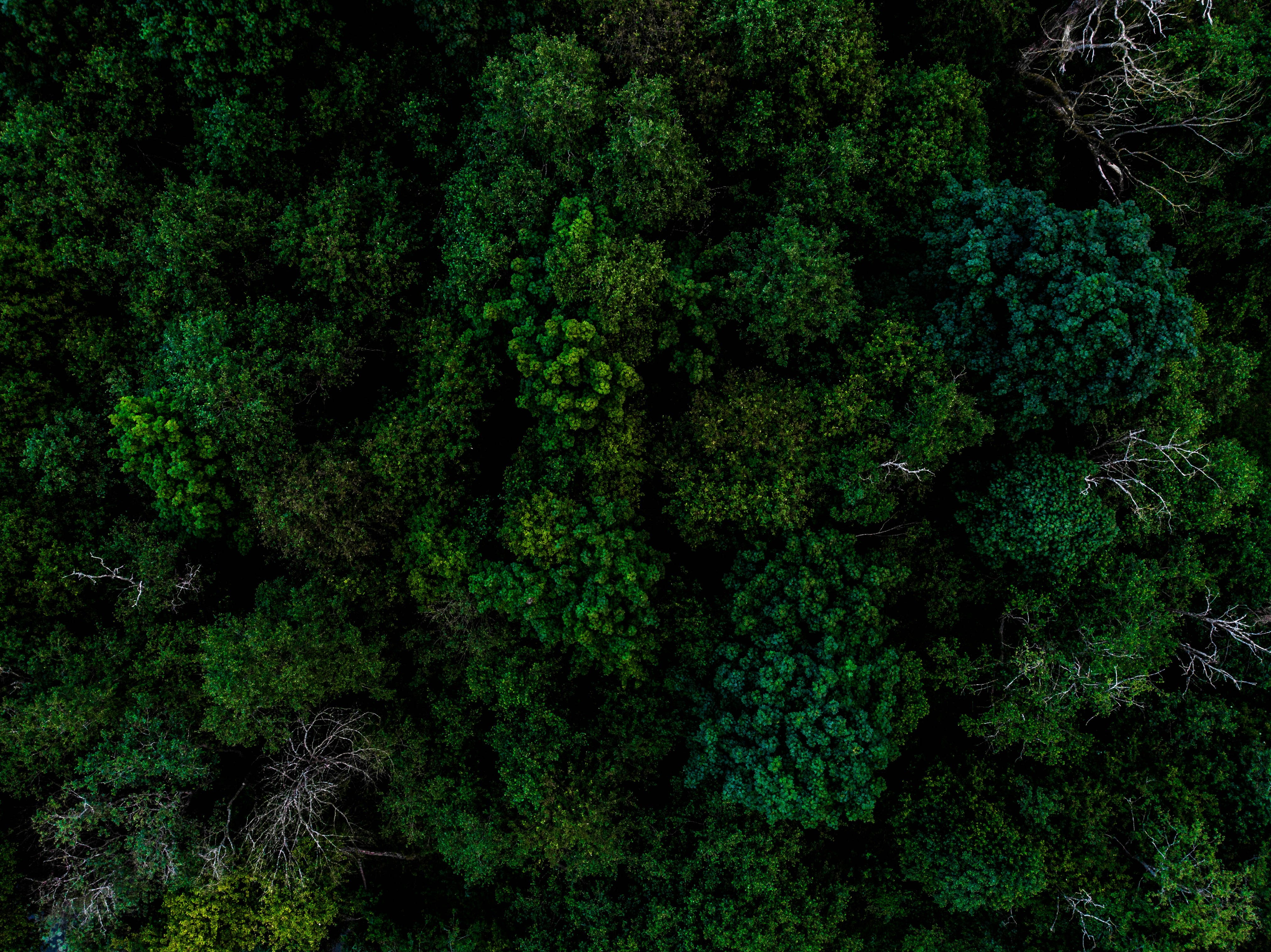 Photo by new_memel_photography