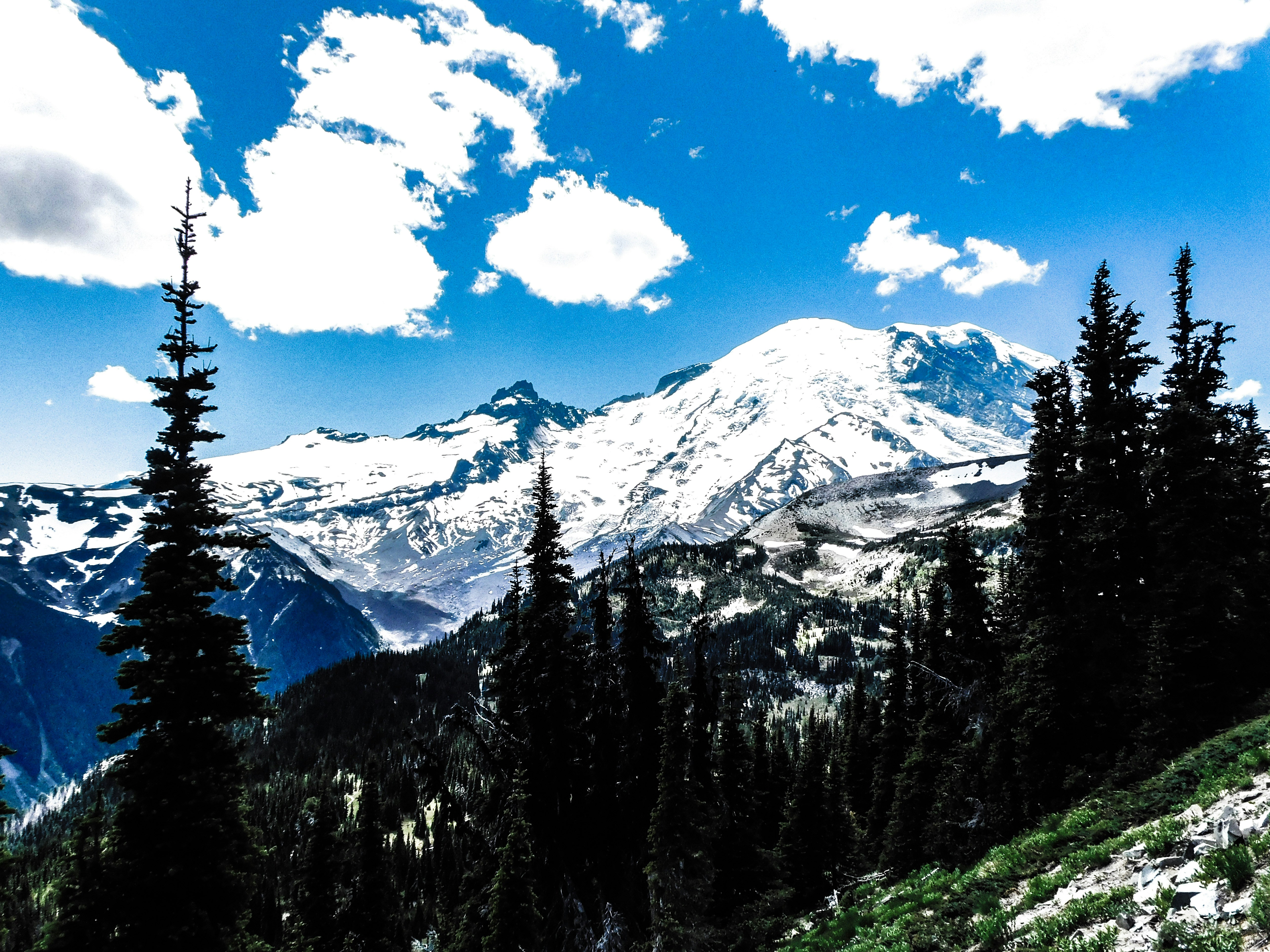 Photo by prphotography262