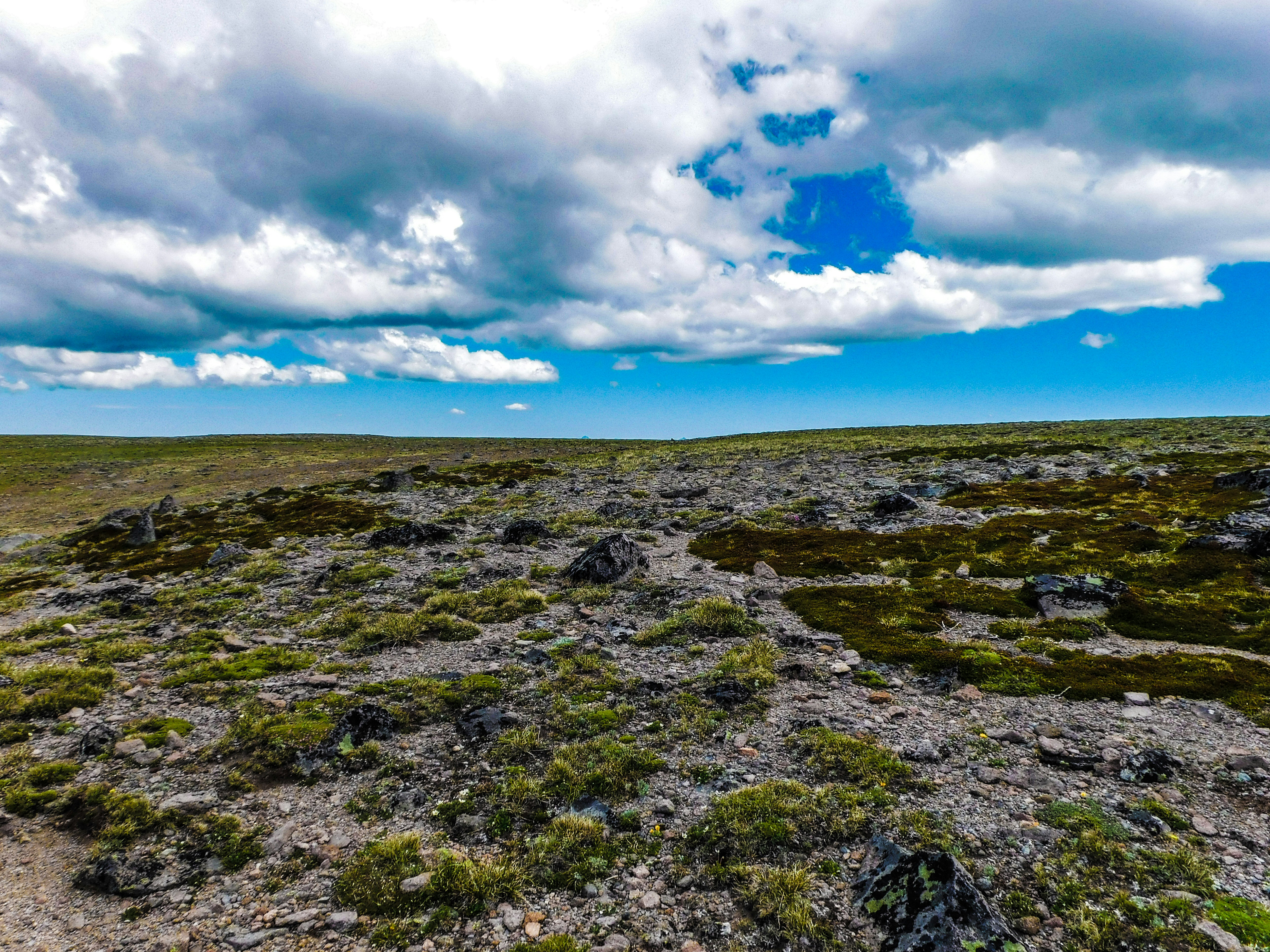 Photo by prphotography262