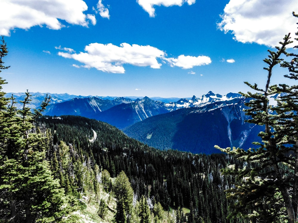 Blick auf eine Bergkette mit Bäumen und Bergen im Hintergrund