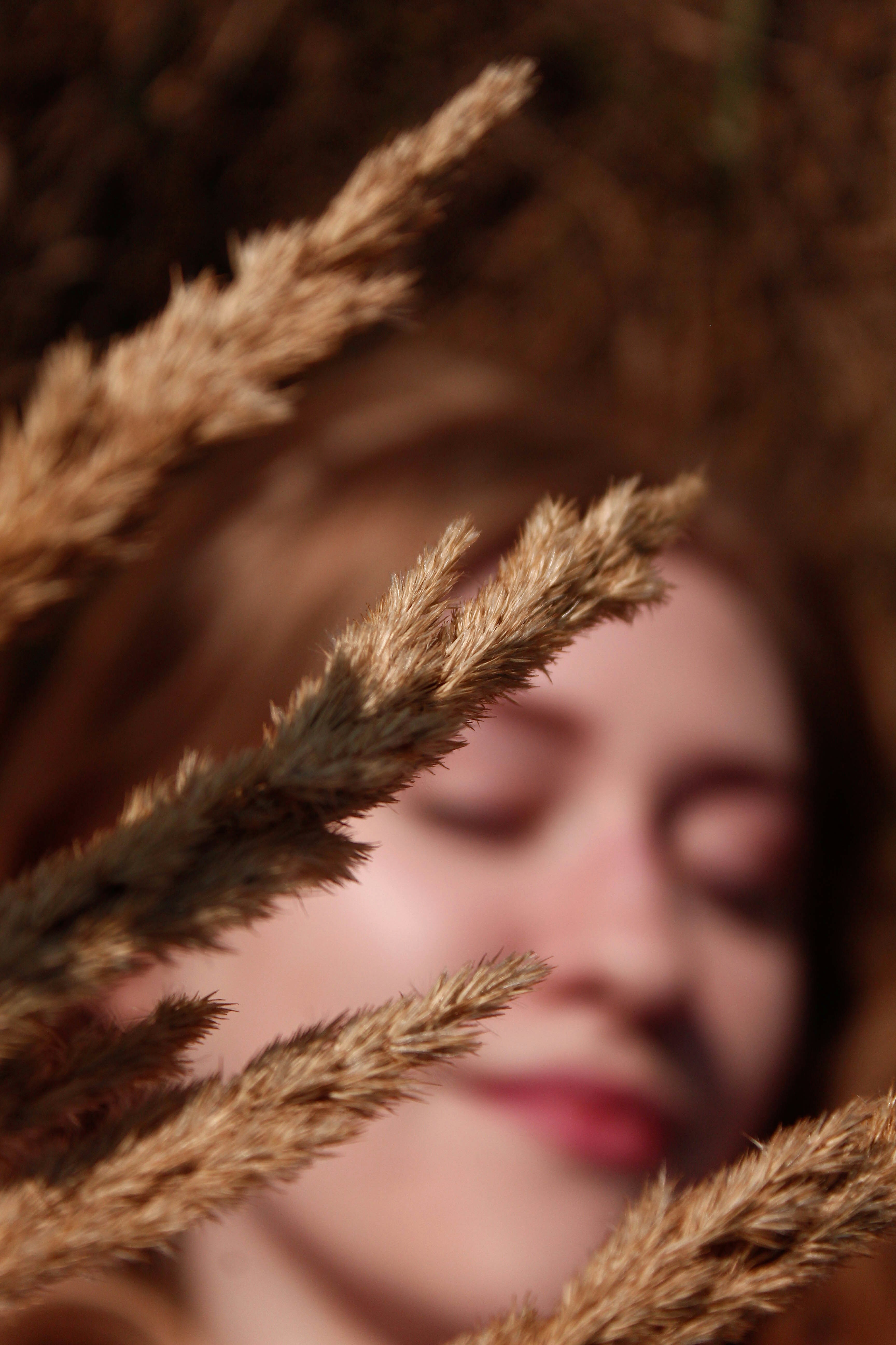 Photo by katescher