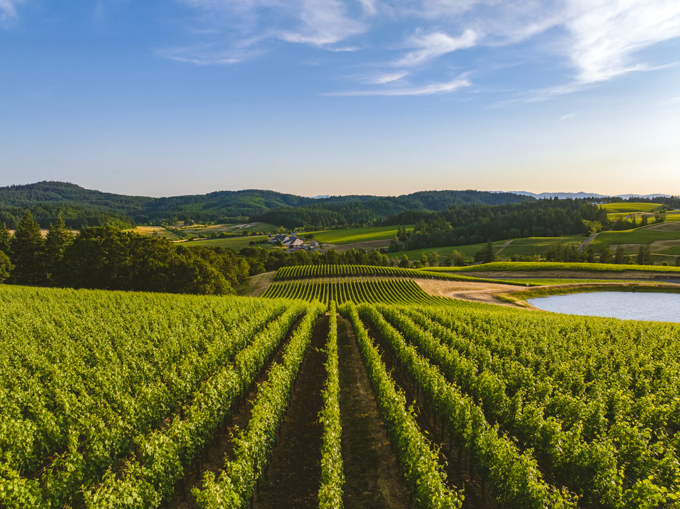 Yarra Valley Wineries