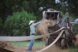 A photo of a farmer using feeding equipment.