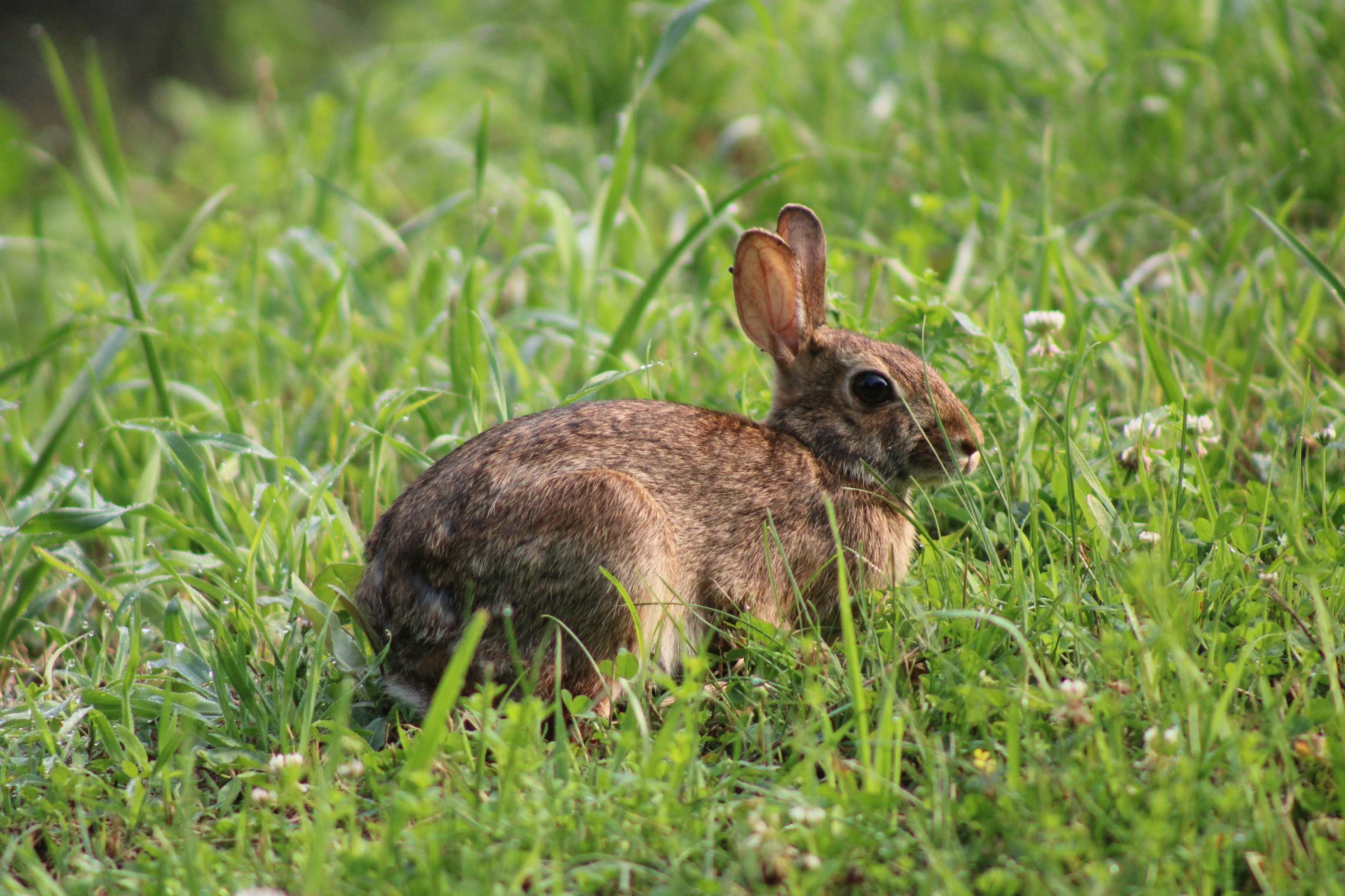 Photo by charles_ray