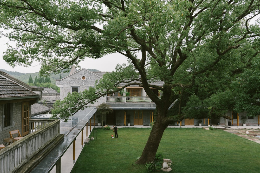 a person standing in a yard next to a tree