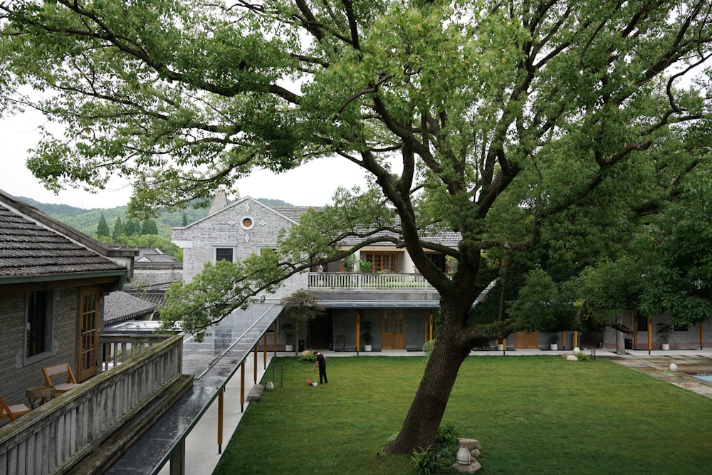 a tree in a yard next to a building