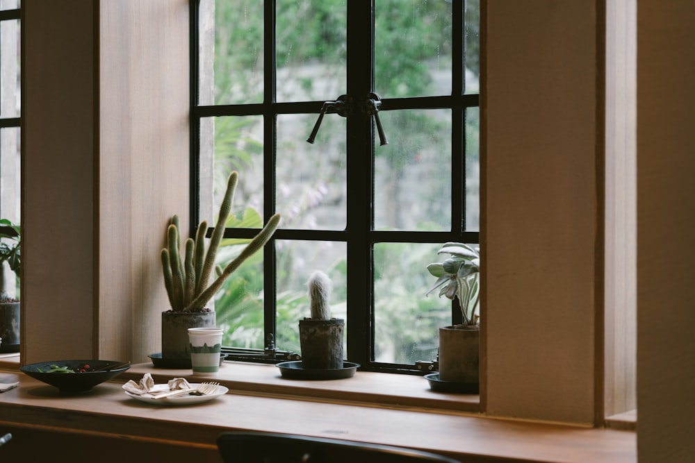 a couple of plants sitting on a window sill