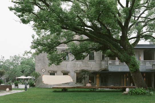 A large, leafy tree stretches across the foreground in front of a two-story stone house. The house has multiple windows and a balcony with a white railing. The lawn is well-manicured, and a light-colored fabric structure is set up in the yard. Several potted plants and an umbrella enhance the garden-like setting.