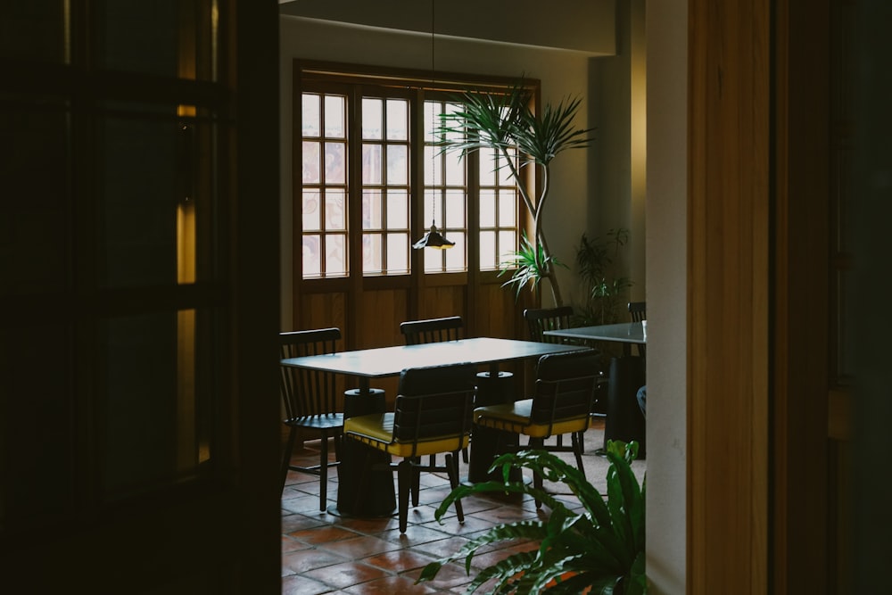 a dining room with a table and chairs and a potted plant