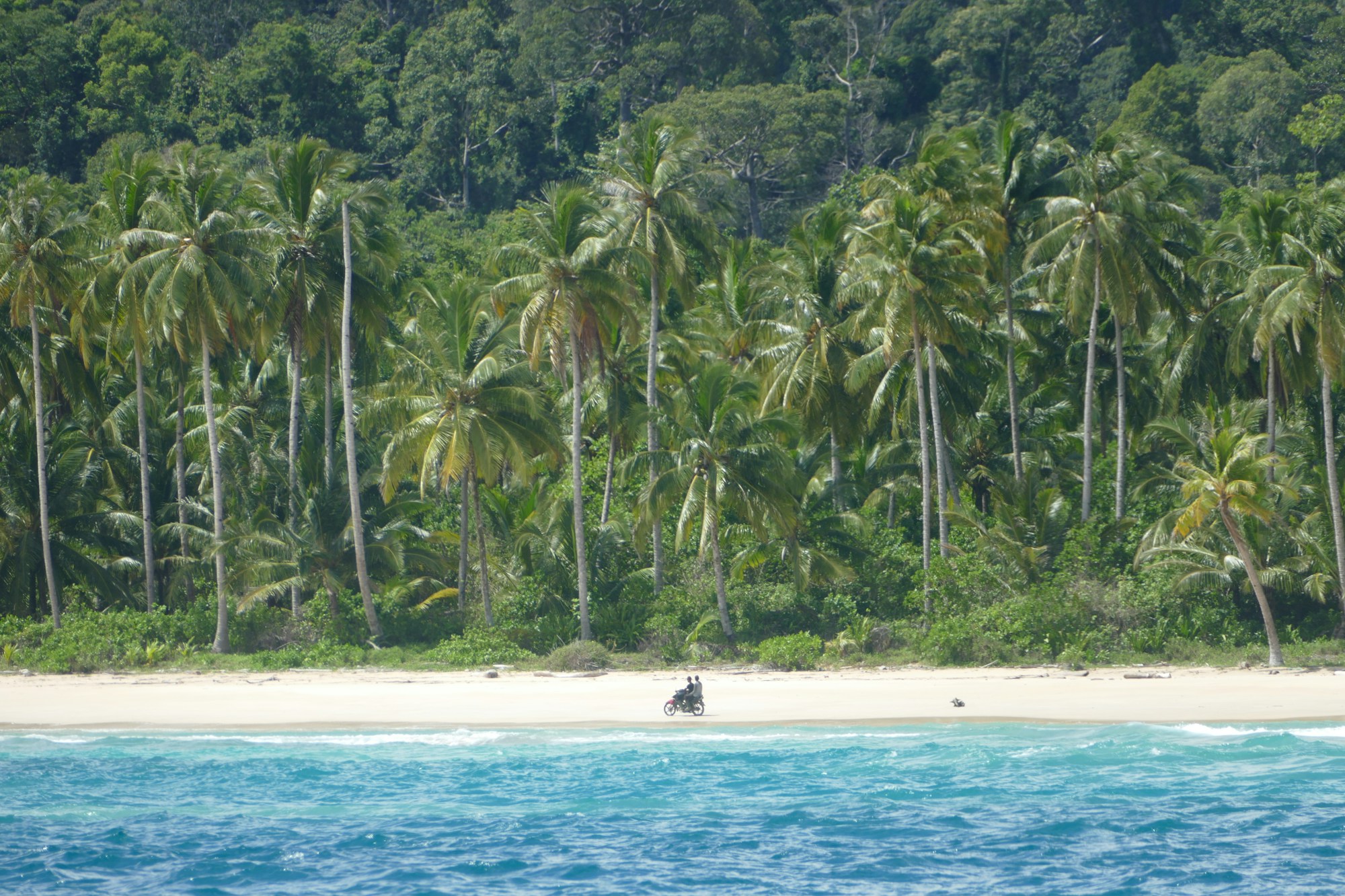 Best Time to Visit Mentawai: Weather, Seasons & Months Guide