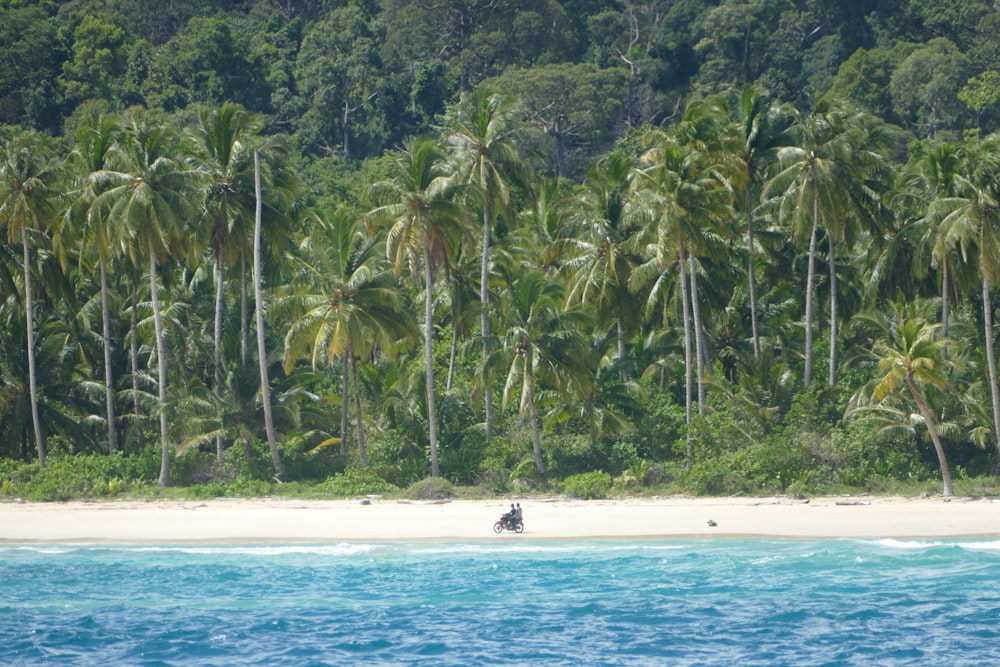 a man riding a surfboard on top of a body of water