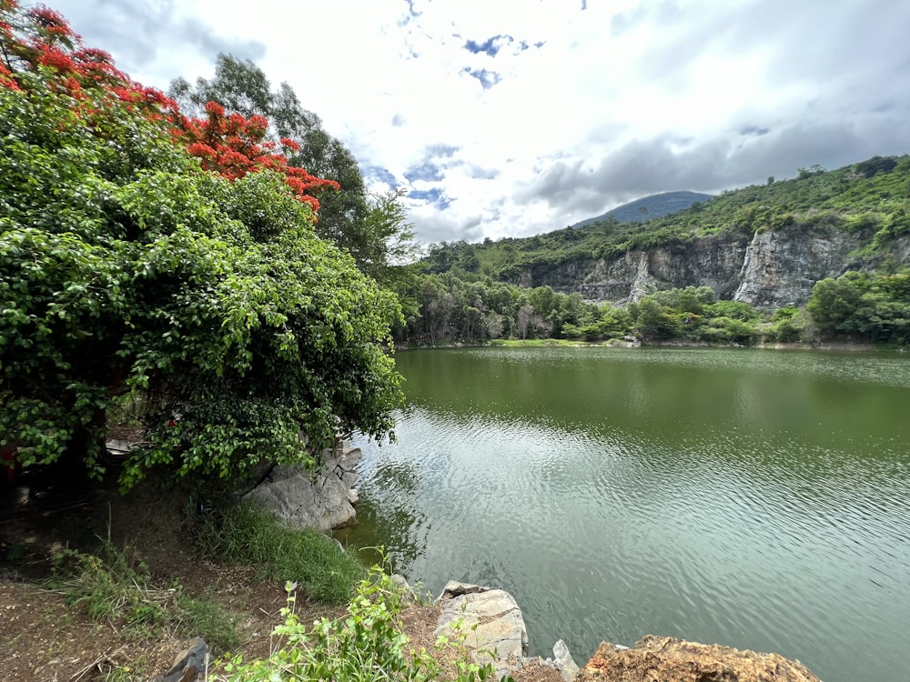 uma grande massa de água cercada por árvores