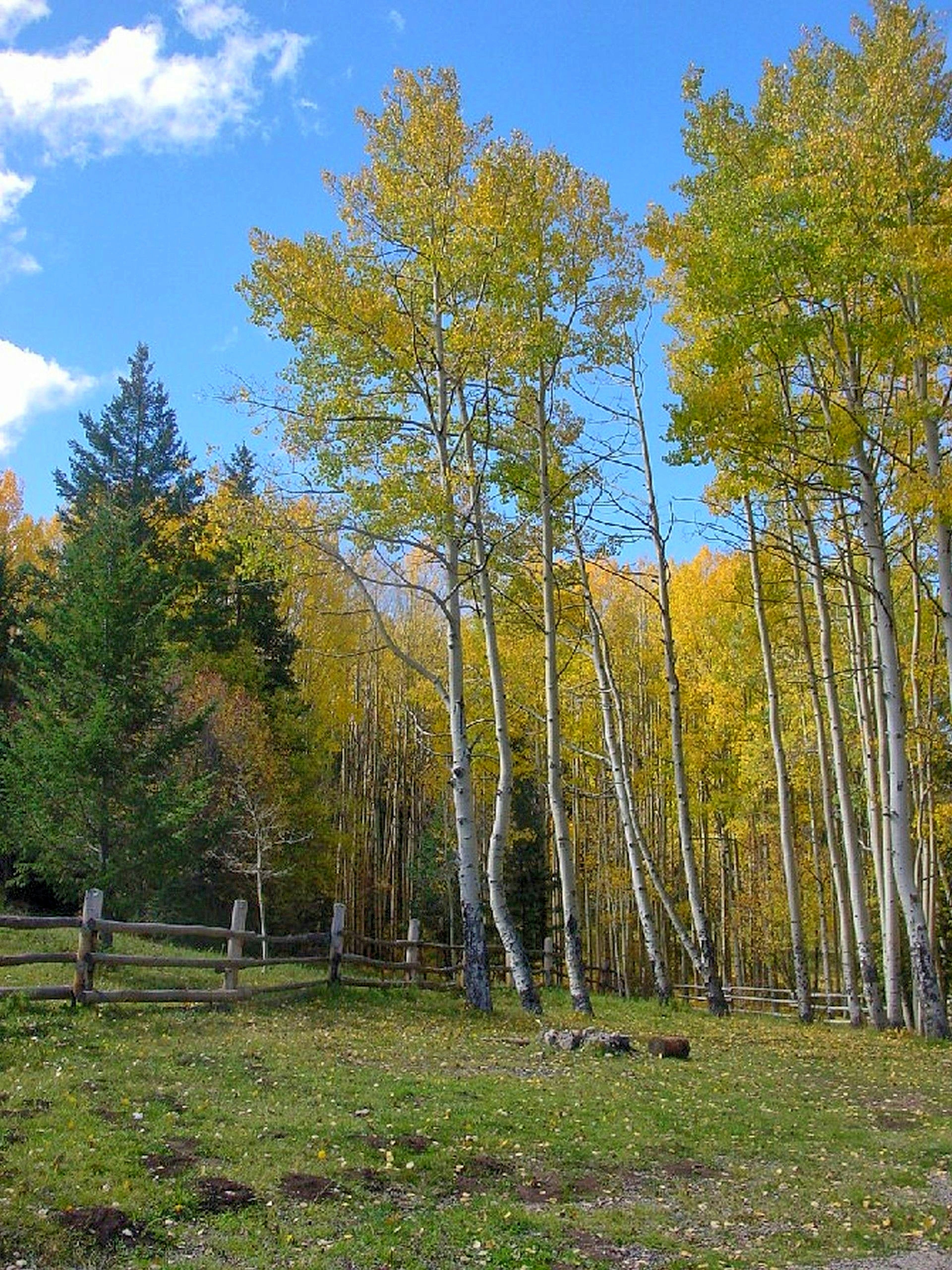 Photo by dianna_gibson