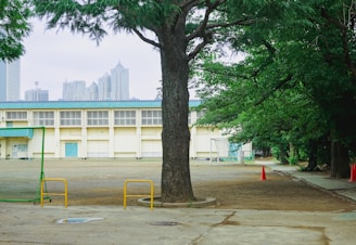 A schoolyard surrounded by lush green trees, featuring a large tree in the foreground and a school building in the background. The area is empty with visible goalposts and traffic cones scattered around. The skyline of a city is faintly visible in the distance.