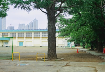 A schoolyard surrounded by lush green trees, featuring a large tree in the foreground and a school building in the background. The area is empty with visible goalposts and traffic cones scattered around. The skyline of a city is faintly visible in the distance.