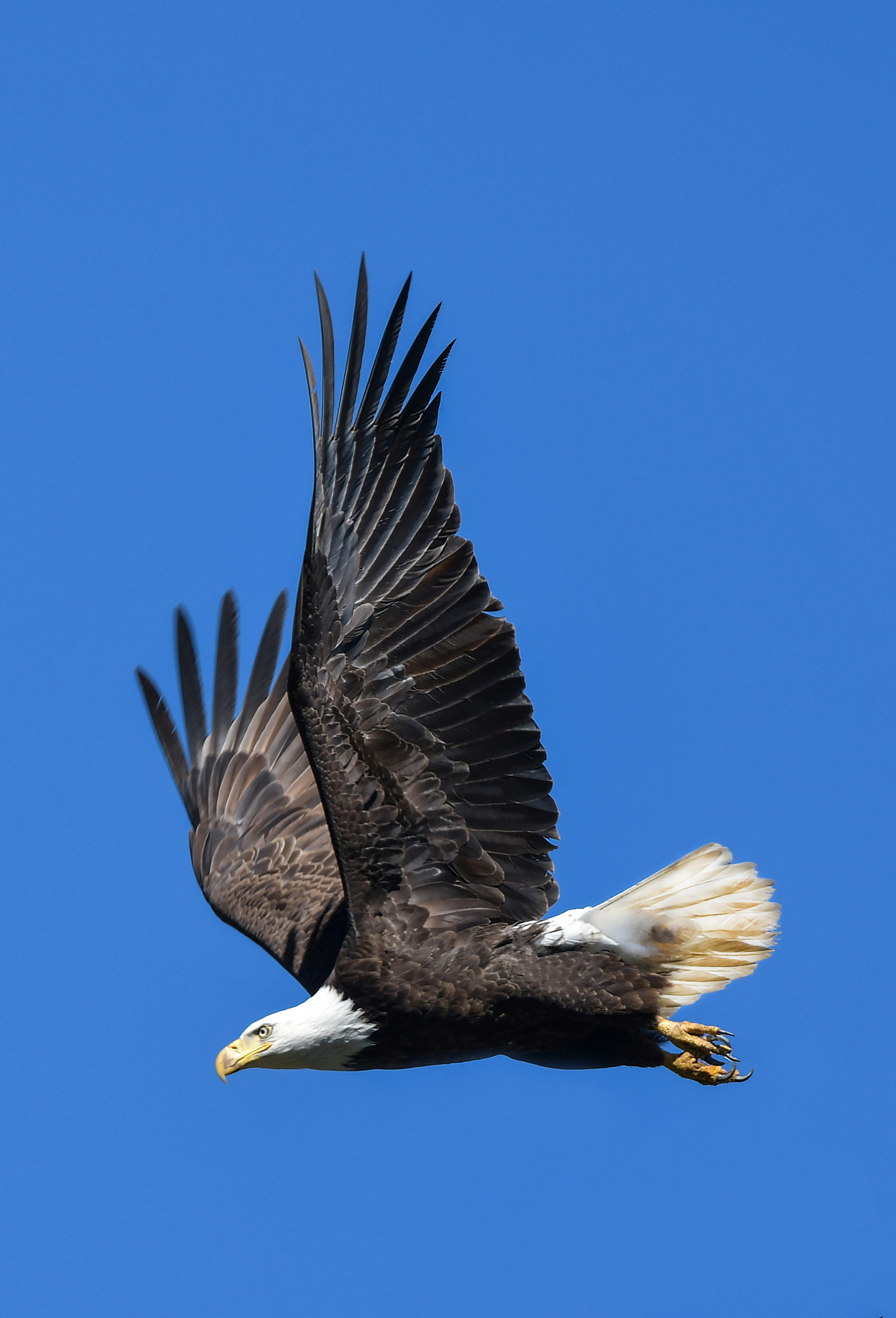 Photo by charleswham