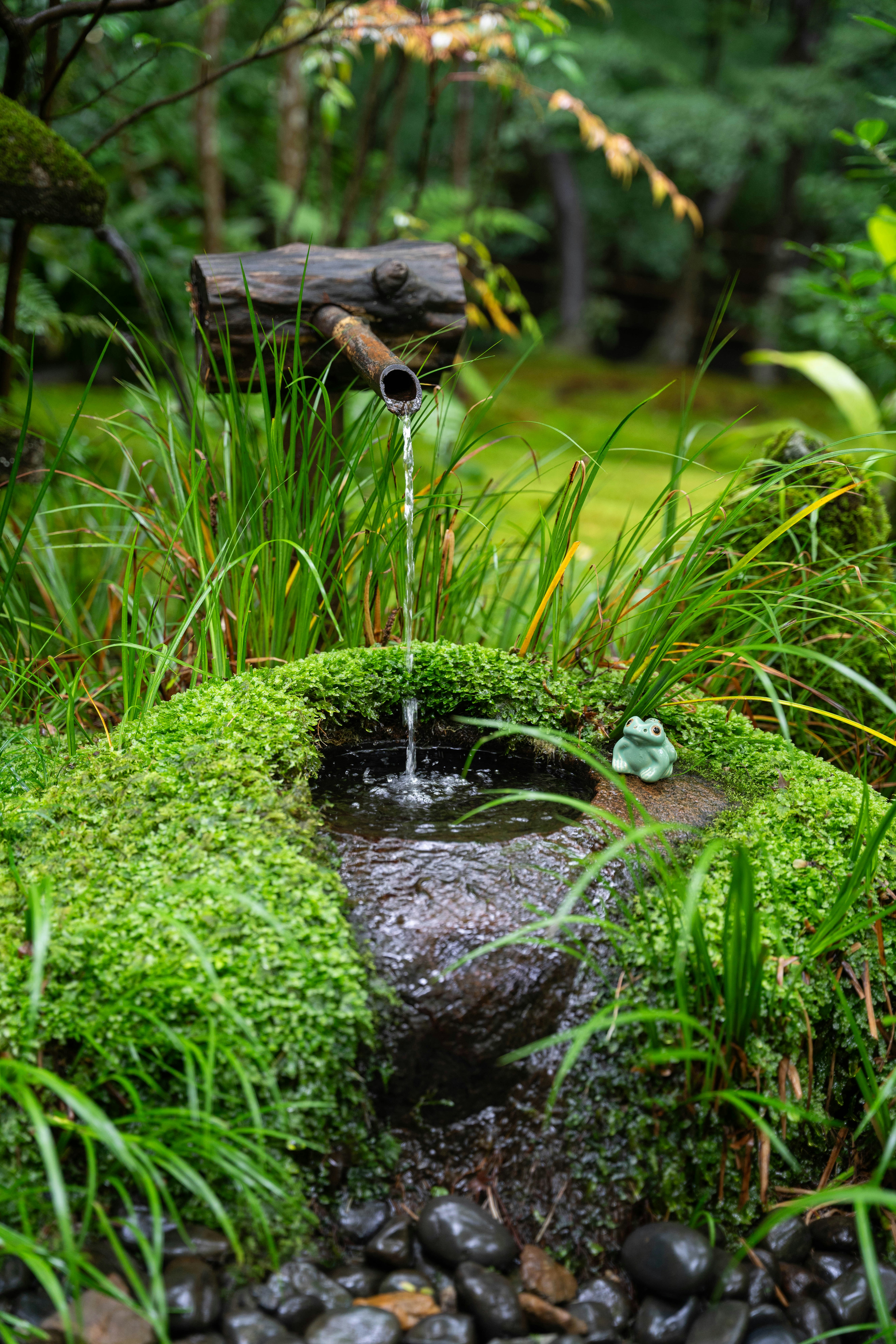 Photo by davidemrich