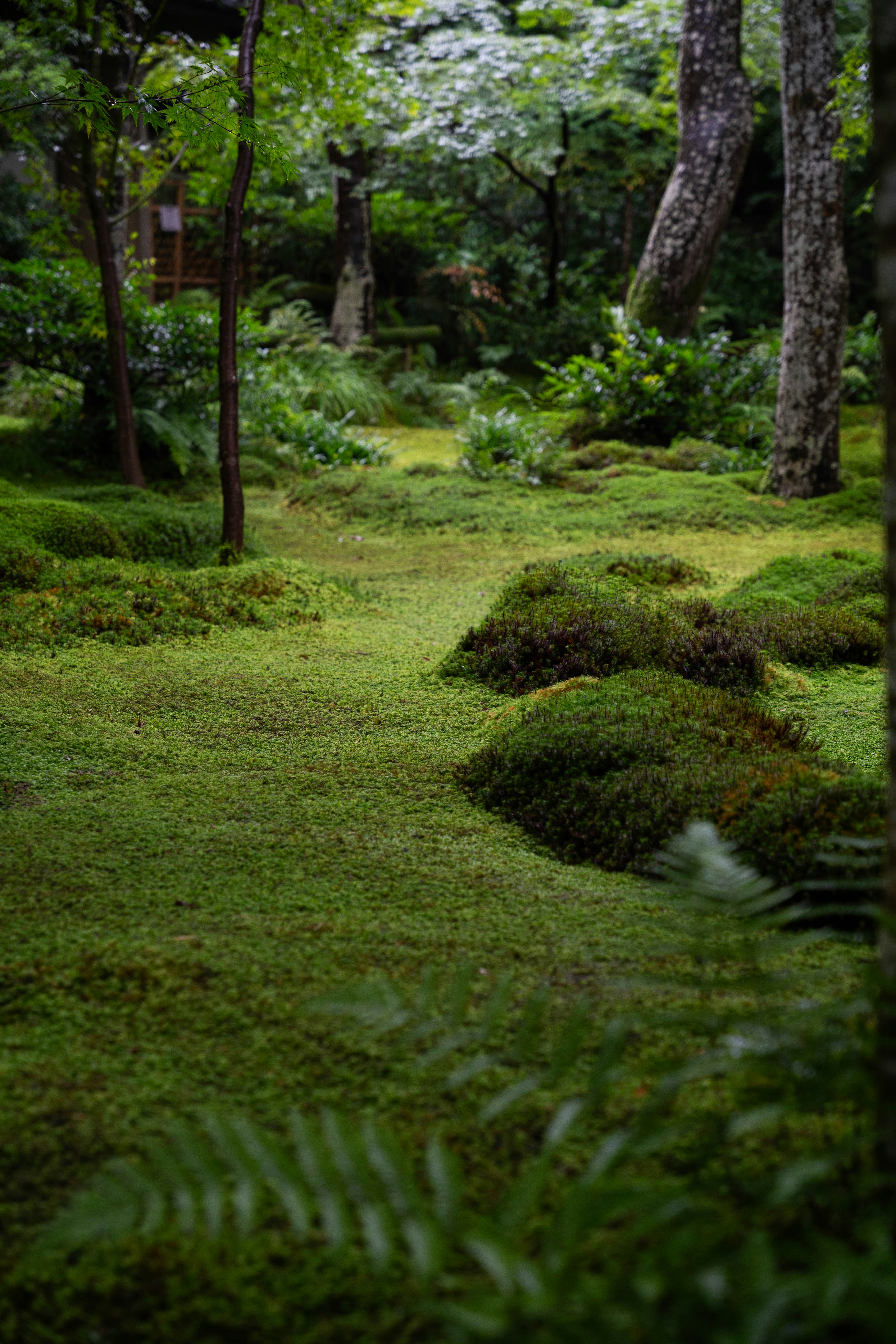 Photo by davidemrich