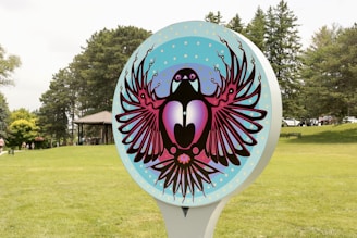 Before and after shots of a community park transformed by Bird Guardians.