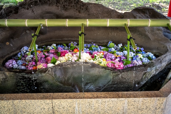 An arrangement of colorful flowers floats in a stone water basin, with bamboo spouts positioned above the flowers, gently dripping water. The water adds a reflective sheen to the vibrant hues of pink, purple, blue, and white petals, creating a serene and tranquil atmosphere.