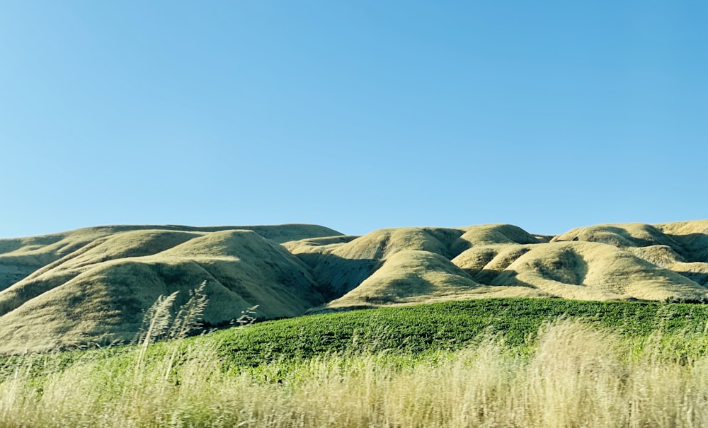 un champ d’herbe avec des collines en arrière-plan