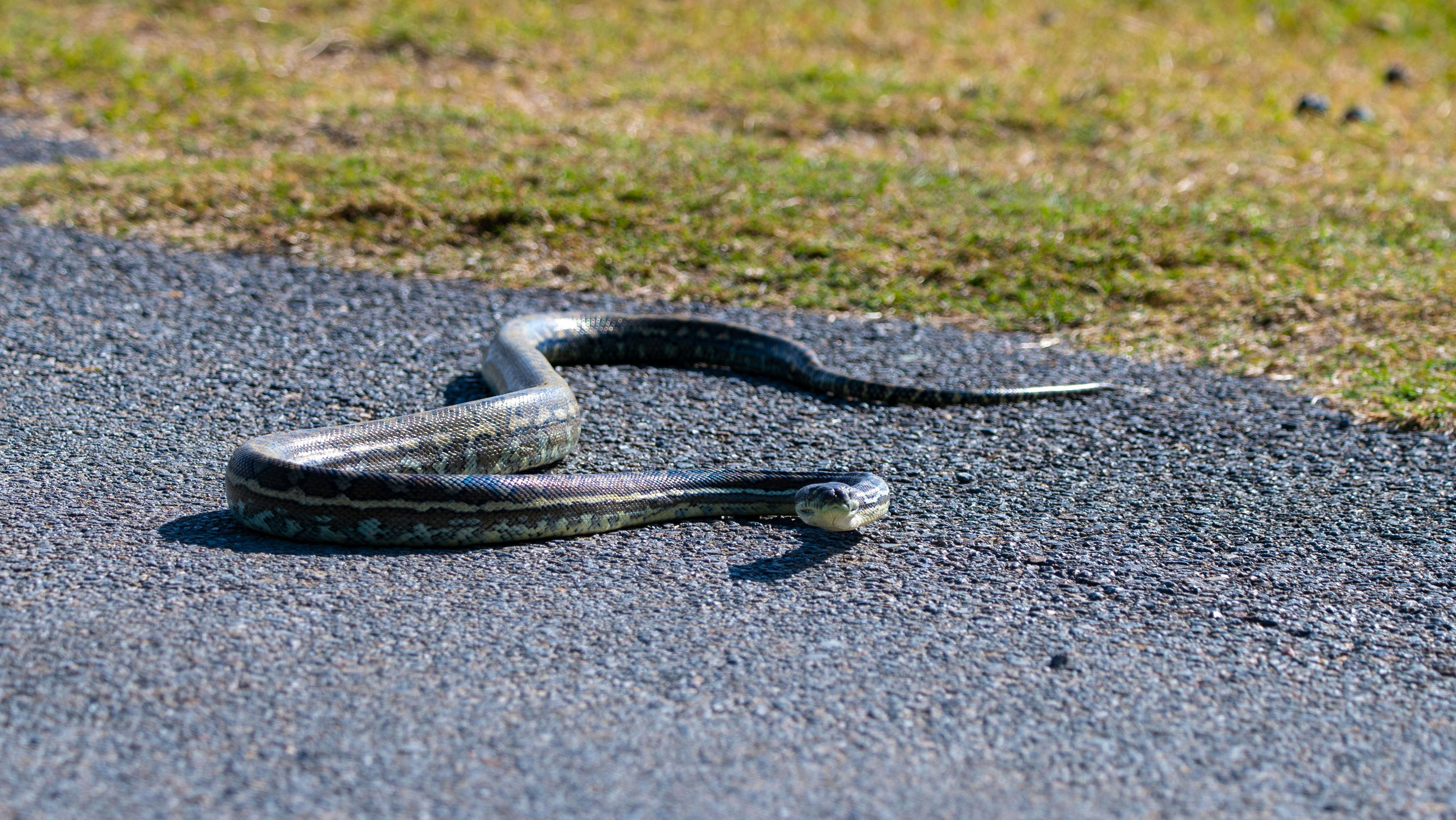 Launching Into the Unknown (image credits: unsplash)