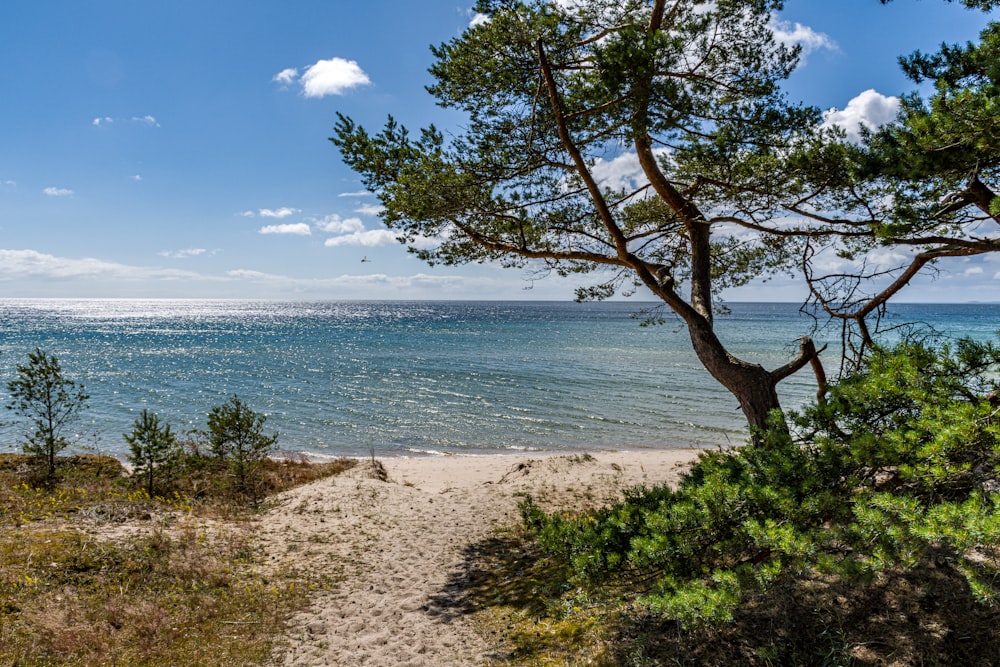 a view of the ocean from a beach