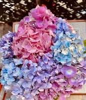 A stunning arrangement of multicolored hydrangeas for a wedding.