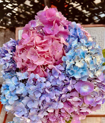 An artistic flower board showcasing a blend of blue hydrangeas and soft pink roses.