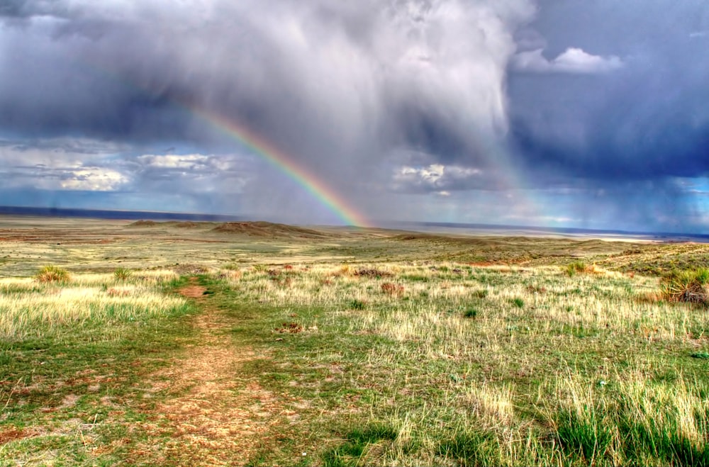 a rainbow in the sky over a grassy field