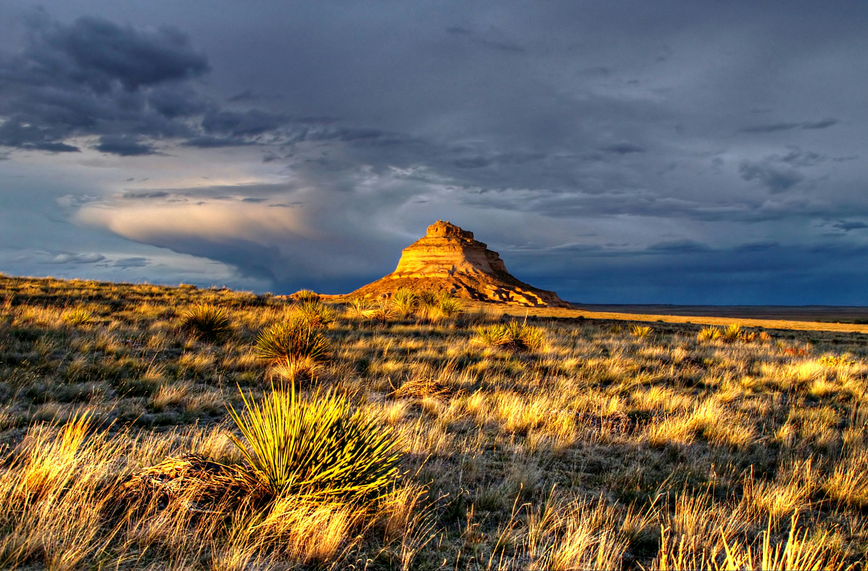 a big rock in the middle of a field