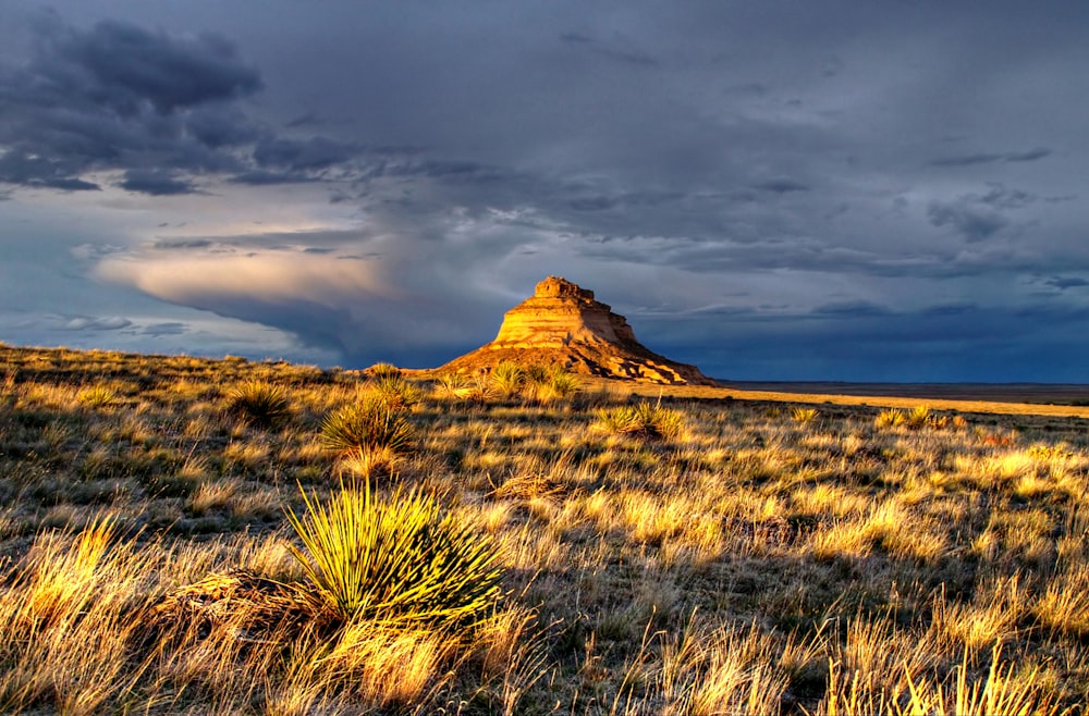 a big rock in the middle of a field