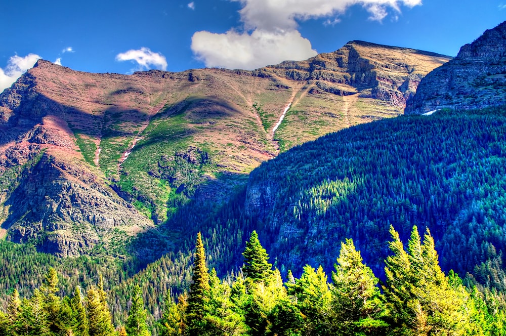 a scenic view of a mountain range with trees in the foreground