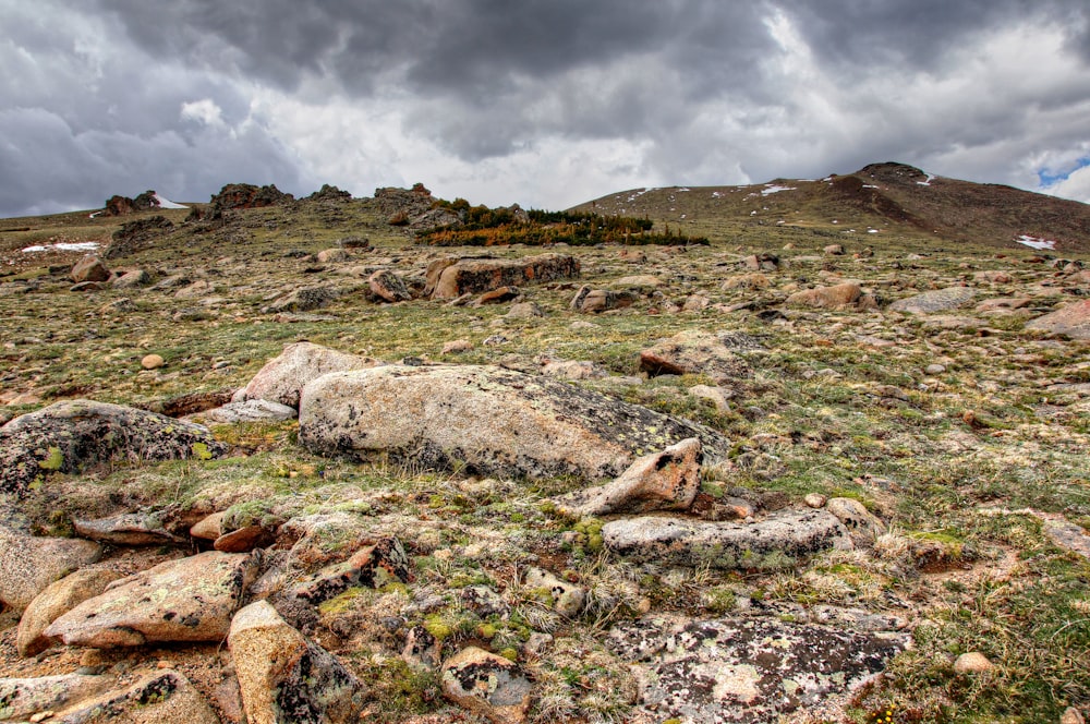 a rocky field with a few rocks and grass