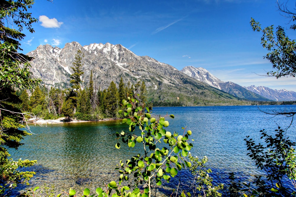 a lake surrounded by trees and mountains under a blue sky